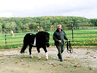 débourrage cheval