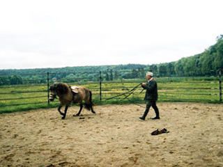 débourrage cheval