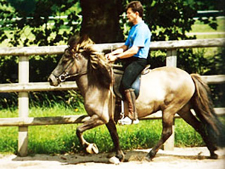 Dressage cheval