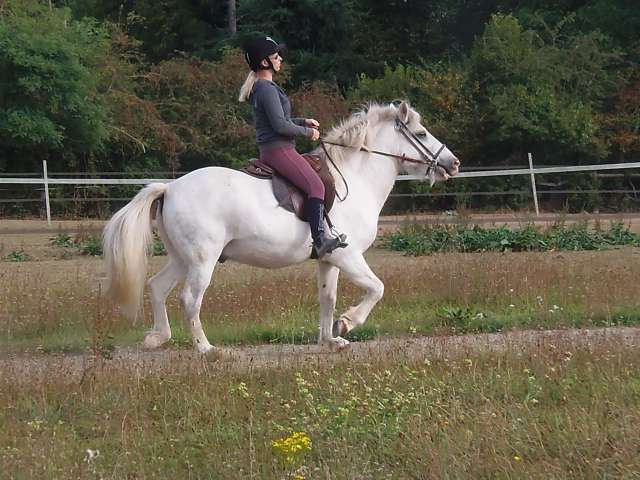 Skjor